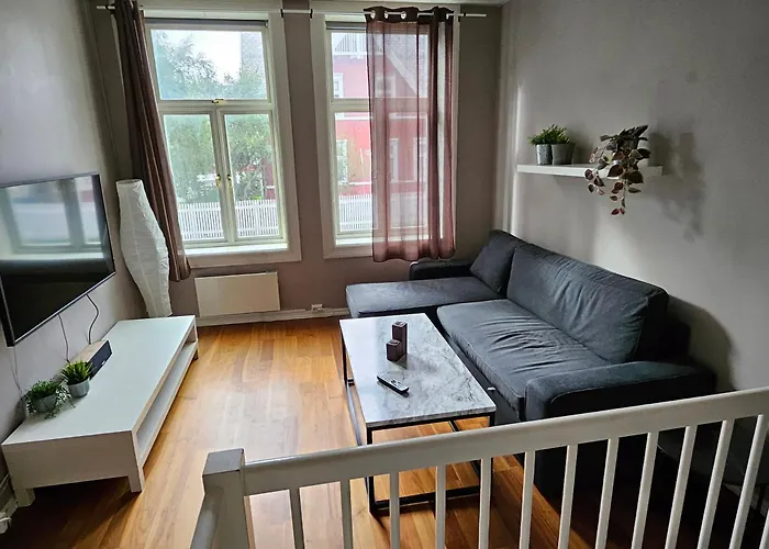 Roomy Apartment Near Bakklandet With Free Parking